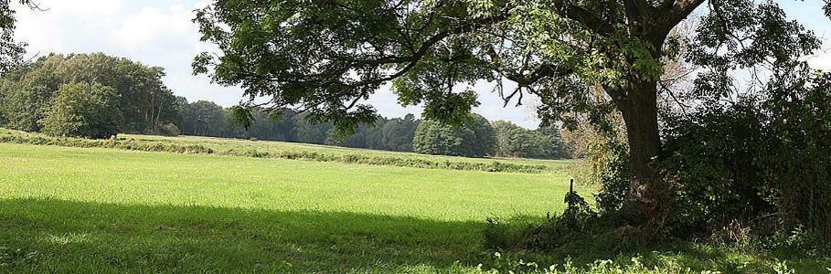 Pension & Gasthof Storchennest Gross Quassow 외부 사진